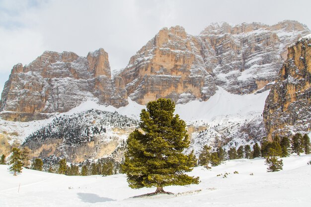 Hermosa vista de las montañas nevadas de los Alpes bajo el cielo nublado