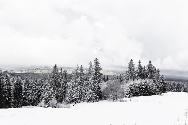 Hermosa vista de las montañas nevadas en un día brumoso