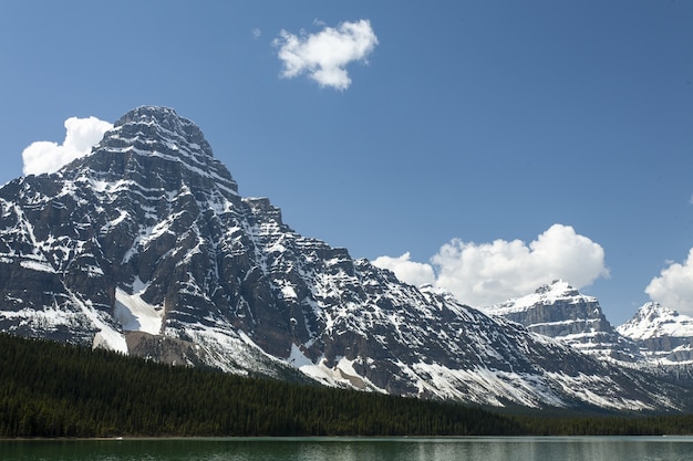 Hermosa vista del monte Chephren y los lagos de aves acuáticas en las Montañas Rocosas canadienses