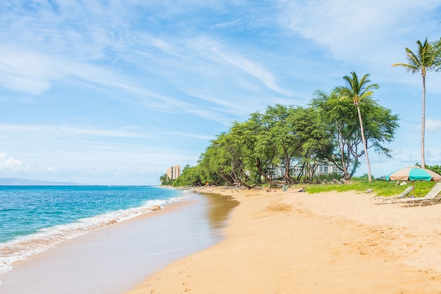 Hermosa vista de la naturaleza con palmeras y cielo azul claro en una isla paradisíaca tropical