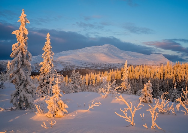 Foto gratuita hermosa vista del paisaje invernal durante la puesta de sol