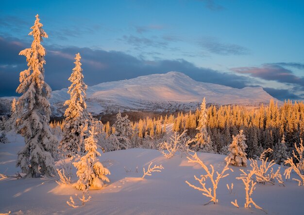 Hermosa vista del paisaje invernal durante la puesta de sol