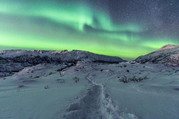 Hermosa vista de un paisaje de invierno nocturno con auroras boreales, Aurora boreal