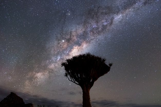 Hermosa vista del paisaje nocturno de la Vía Láctea y el núcleo galáctico sobre el Parque Nacional Etosha Camping, Namibia