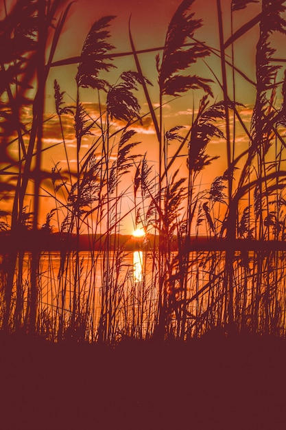 Hermosa vista panorámica de la puesta de sol roja sobre un lago