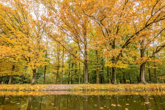 Hermosa vista de un parque lleno de árboles y un lago en un día brillante