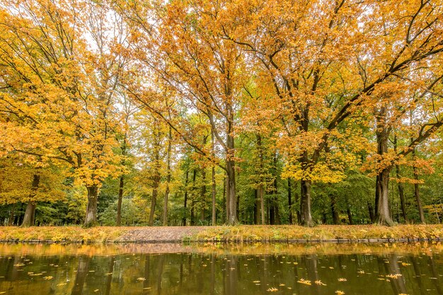 Hermosa vista de un parque lleno de árboles y un lago en un día brillante