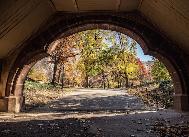 Hermosa vista de un parque de otoño a través de un arco de piedra