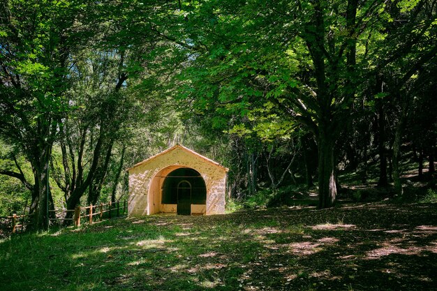 Hermosa vista en el parque de vida silvestre Arche de Ponadieu, ubicado en Alpes Maritimes, Francia