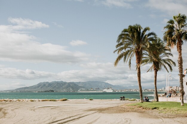 Hermosa vista de una playa de arena tropical con palmeras