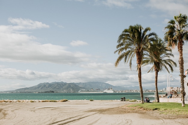 Hermosa vista de una playa de arena tropical con palmeras