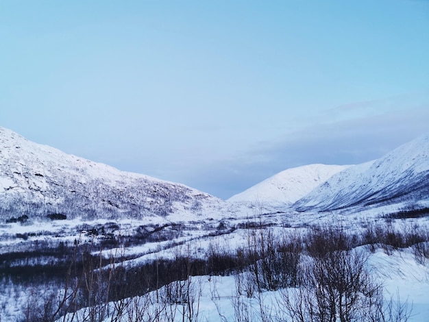 Hermosa vista polar en el Ártico, Noruega, isla de Kvaloya