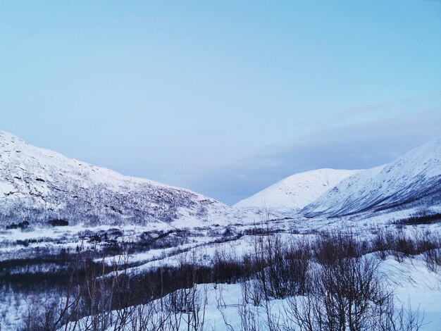 Hermosa vista polar en el Ártico, Noruega, isla de Kvaloya