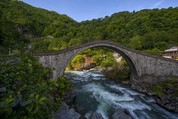 Foto gratuita hermosa vista del puente capturado en la aldea arhavi kucukkoy, turquía