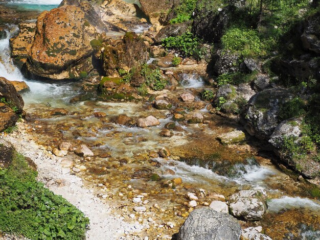 Hermosa vista de la rama del árbol en el fondo de la corriente de agua con piedras y rocas