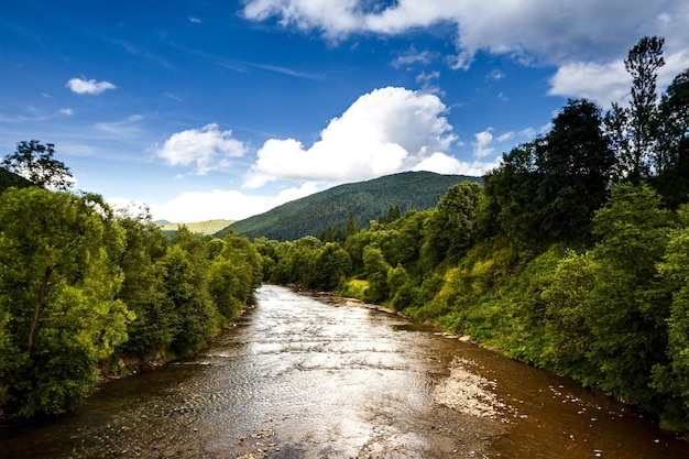 Hermosa vista del río en los Cárpatos ucranianos