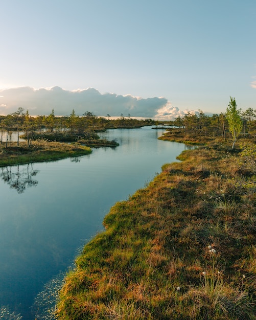 Hermosa vista del río y la naturaleza verde bajo el cielo azul ar amanecer