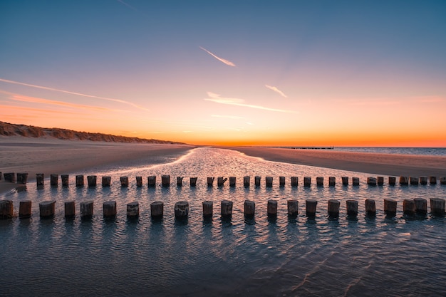 Hermosa vista de troncos de madera en el agua en la playa capturada en Oostkapelle, Países Bajos