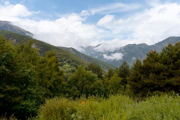 Hermosa vista de la ubicación de la naturaleza