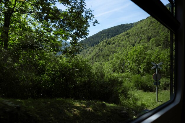 Hermosa vista de la ubicación de la naturaleza