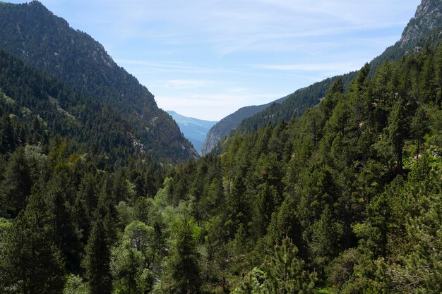 Hermosa vista de la ubicación de la naturaleza