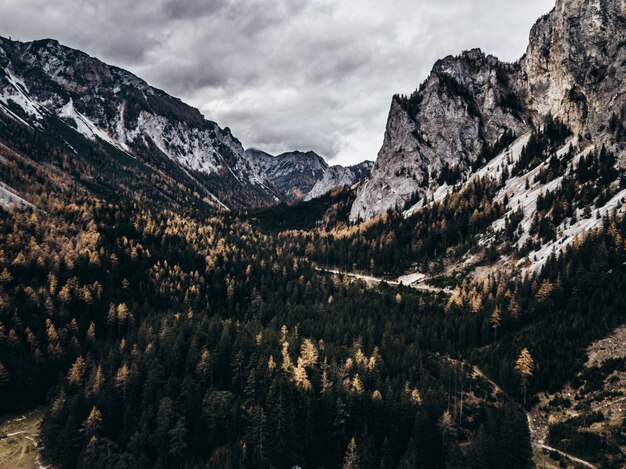 Hermosas altas montañas rocosas con un bosque en el medio