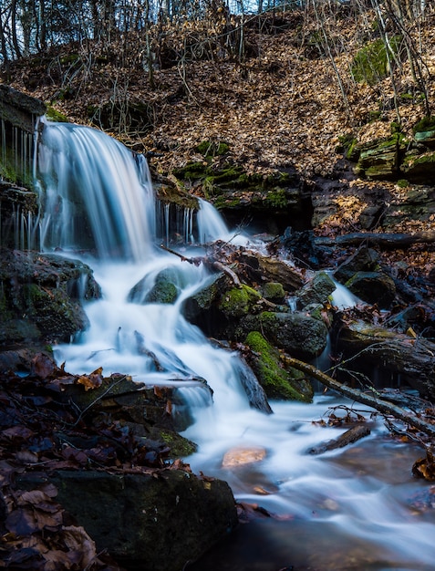 Hermosas cascadas con rocas cubiertas de musgo en el bosque