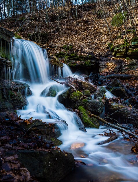 Hermosas cascadas con rocas cubiertas de musgo en el bosque