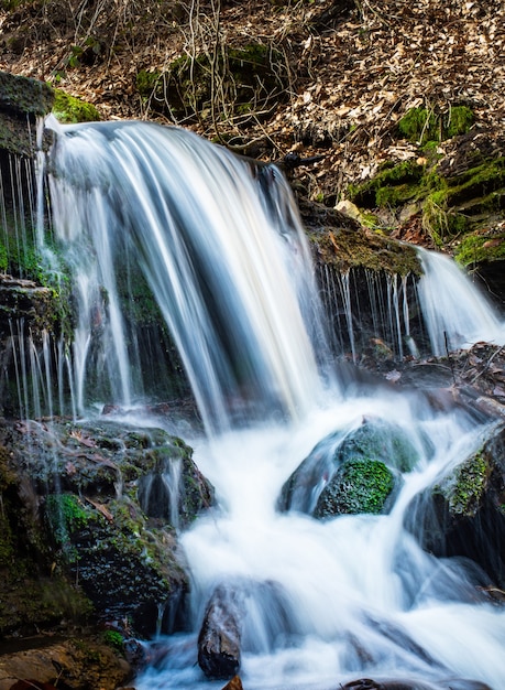 Hermosas cascadas con rocas cubiertas de musgo en el bosque