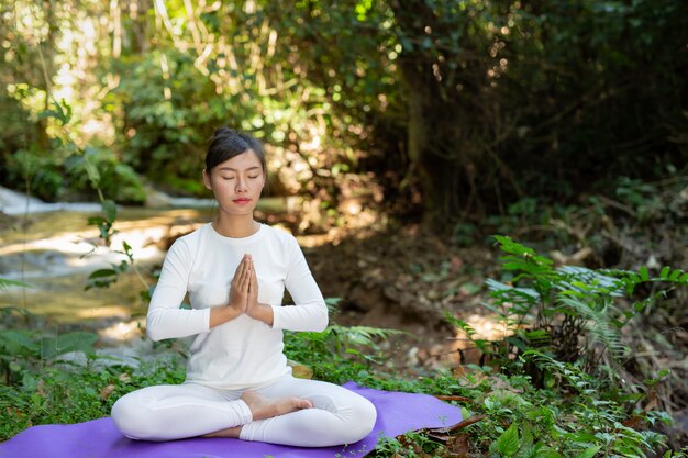 Hermosas chicas están jugando yoga en el parque