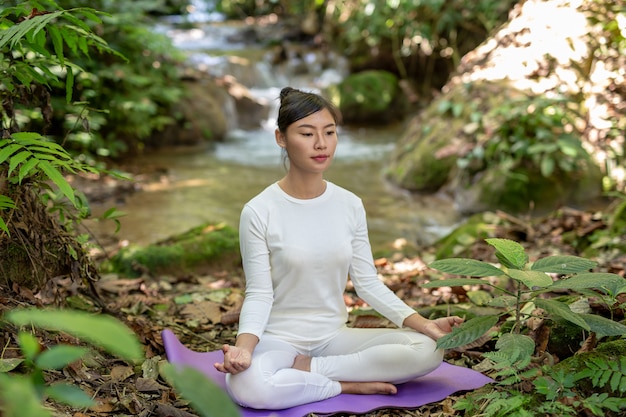 Hermosas chicas están jugando yoga en el parque