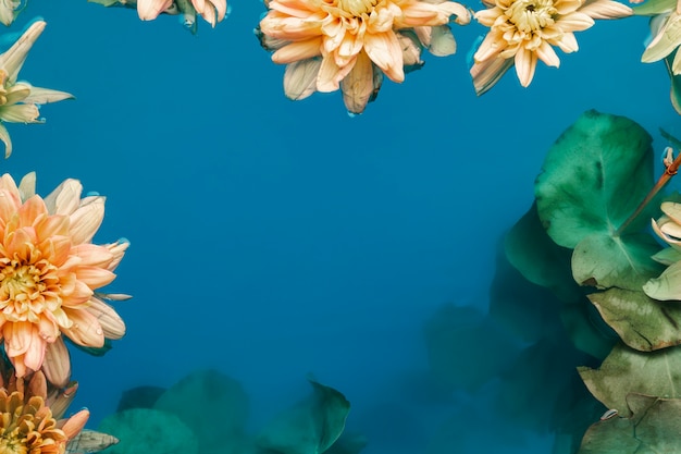 Hermosas flores en agua con espacio de copia
