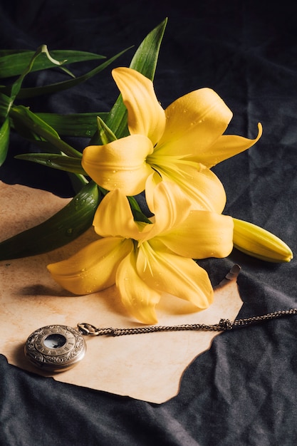 Foto gratuita hermosas flores amarillas frescas en rocío cerca de papel artesanal y reloj de bolsillo antiguo