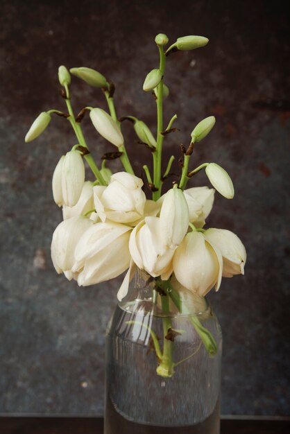 Hermosas flores blancas en la botella de vidrio con agua.