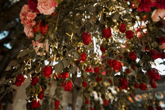 Hermosas flores de boda ángulo bajo