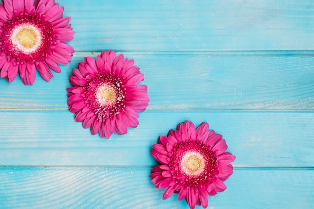 Hermosas flores de color rosa en la mesa de madera