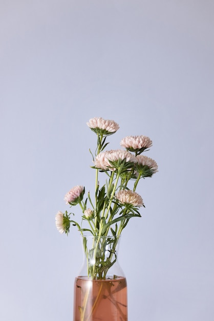 Foto gratuita hermosas flores en florero surtido