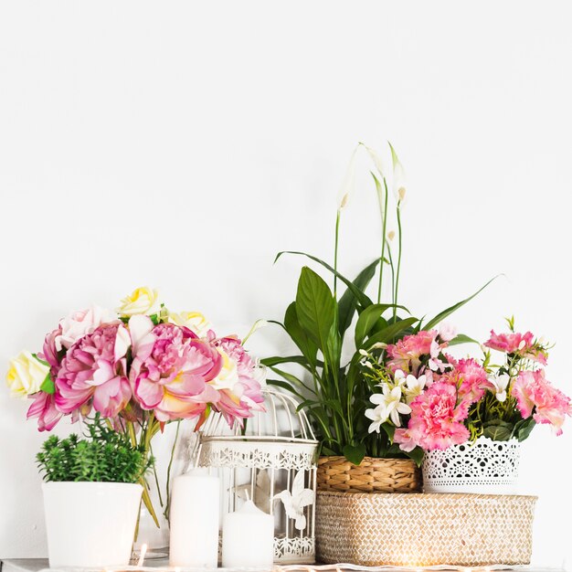 Hermosas flores frescas contra la pared