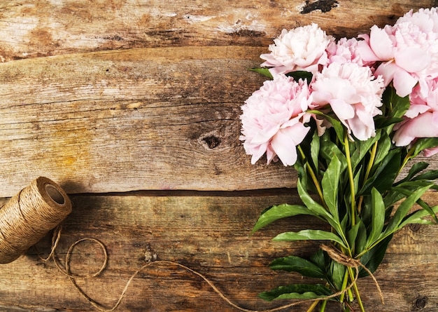 Hermosas flores frescas de peonía