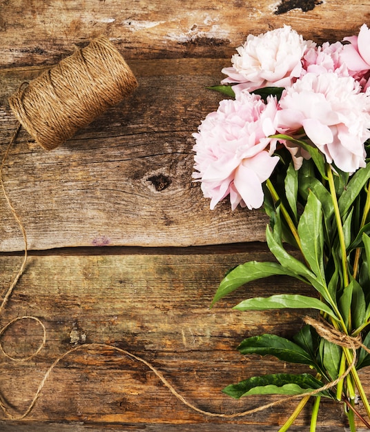 Hermosas flores frescas de peonía