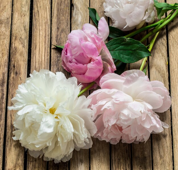 Hermosas flores frescas sobre fondo de madera, varias flores, lugar para texto, primer plano