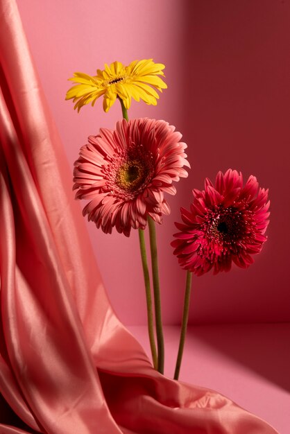 Hermosas flores de gerbera con fondo rosa