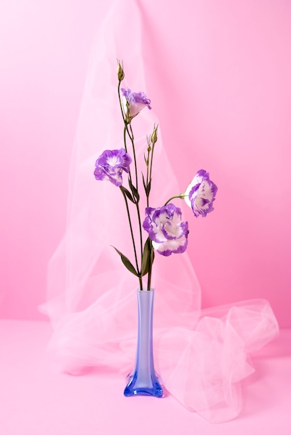 Foto gratuita hermosas flores moradas en florero