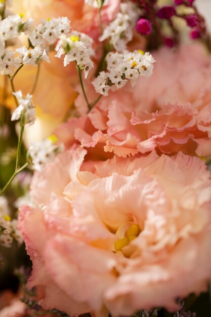 Hermosas flores rosadas borrosas alto ángulo