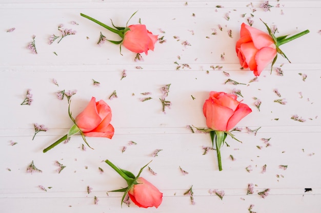 Hermosas flores de salmón en el fondo de madera blanca