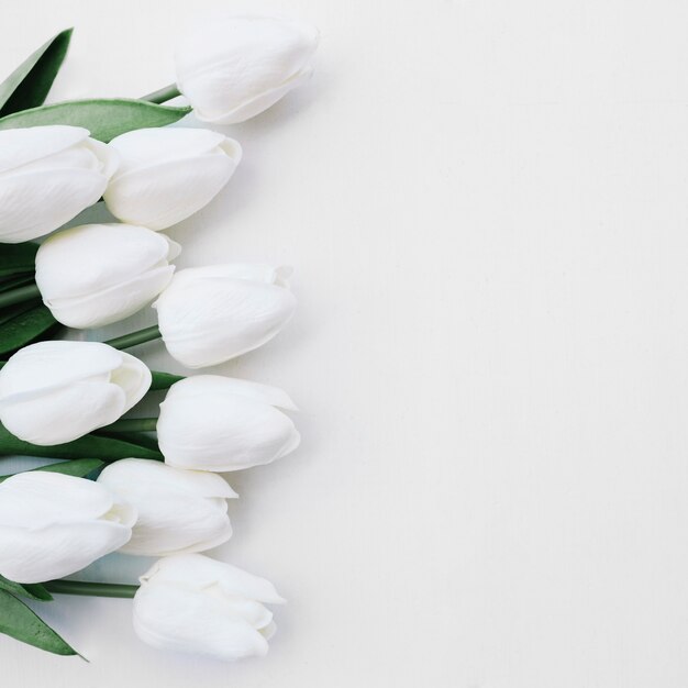 hermosas flores sobre fondo blanco con espacio a la derecha