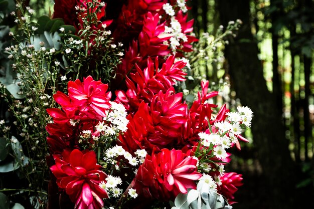 Hermosas flores tropicales con fondo borroso