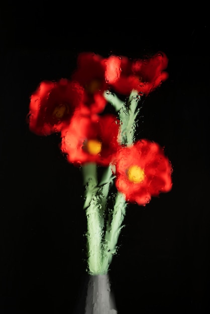 Hermosas flores vistas detrás del vidrio de humedad