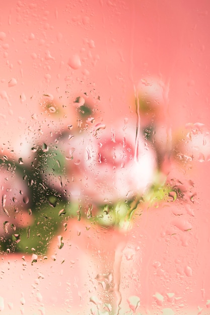 Foto gratuita hermosas flores vistas detrás del vidrio de humedad