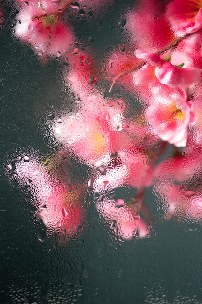 Hermosas flores vistas detrás del vidrio de humedad